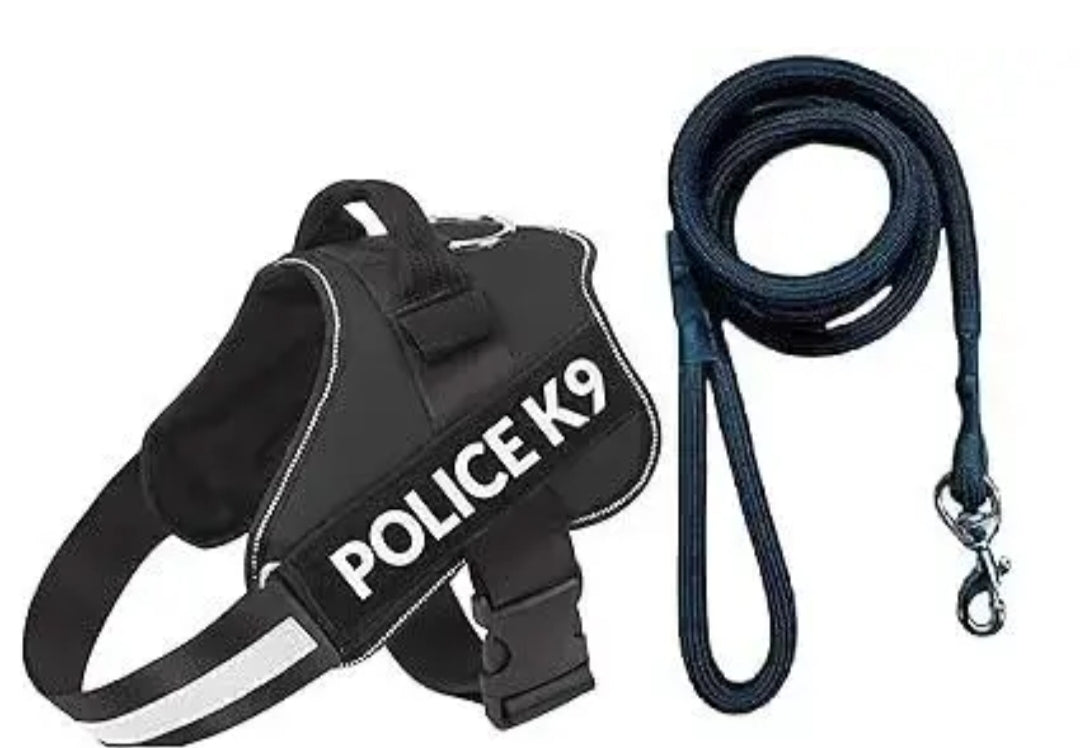 “This Pet Harness is a Game Changer!”